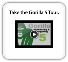 gorilla tour