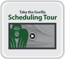 gorilla home