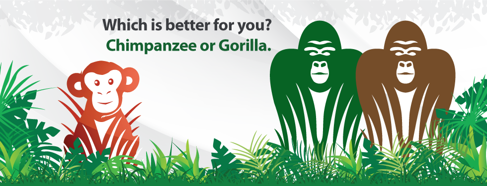 chimpanzee vs gorilla vs orangutan image
